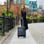 longchamp travel bag