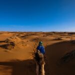 best desert safari dubai