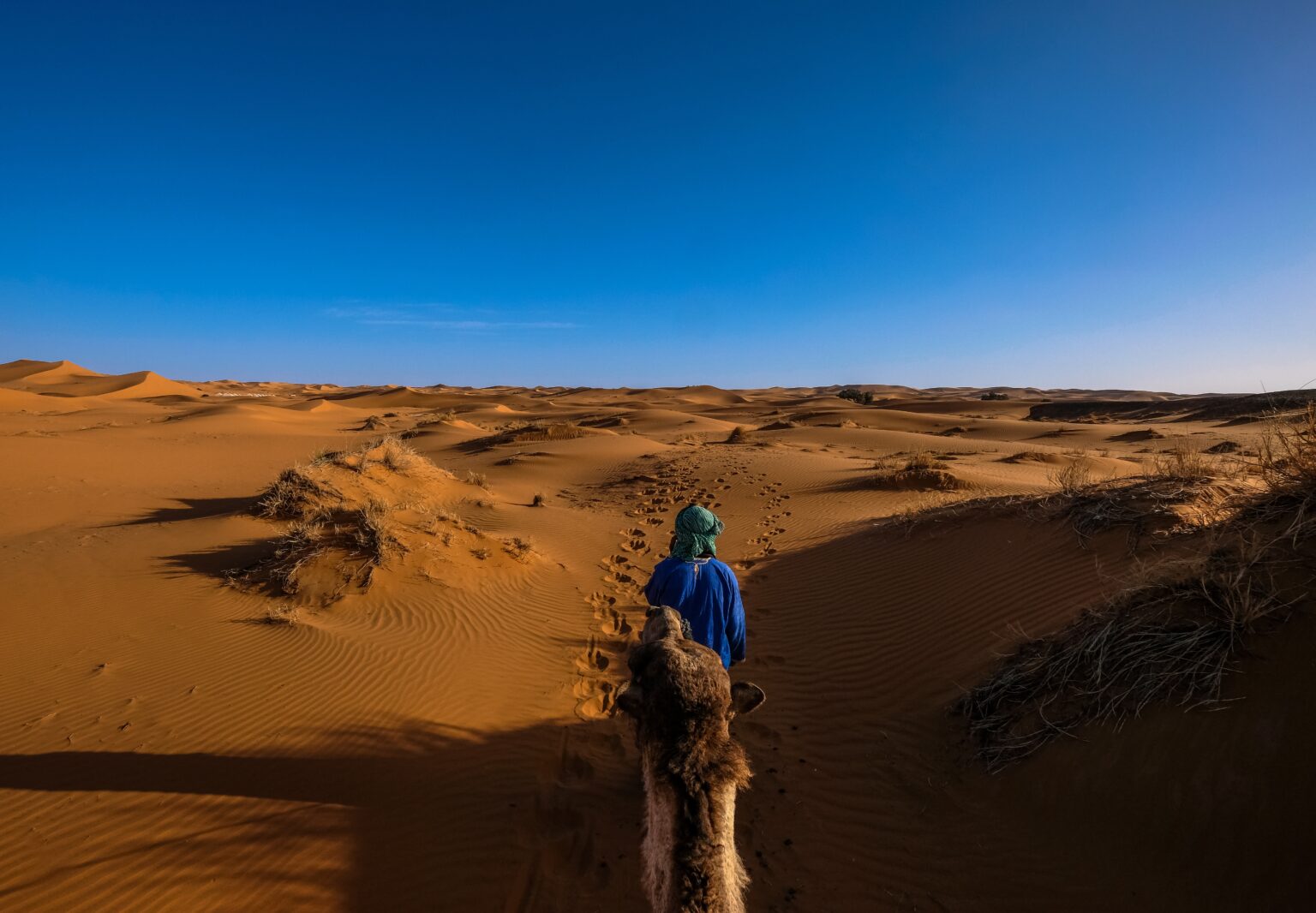 best desert safari dubai