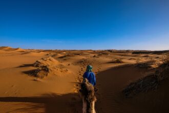 best desert safari dubai