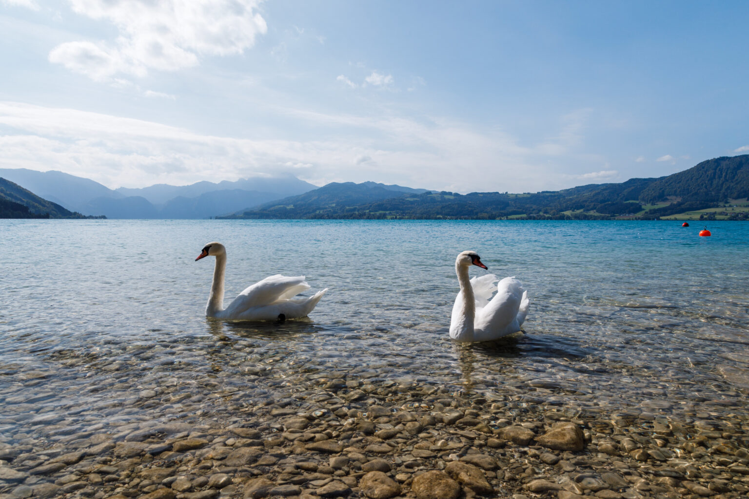 white eagle resort