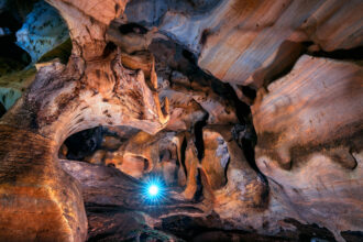 glow worm caves new zealand